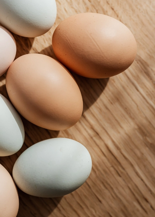 Huevos colocados de forma estética